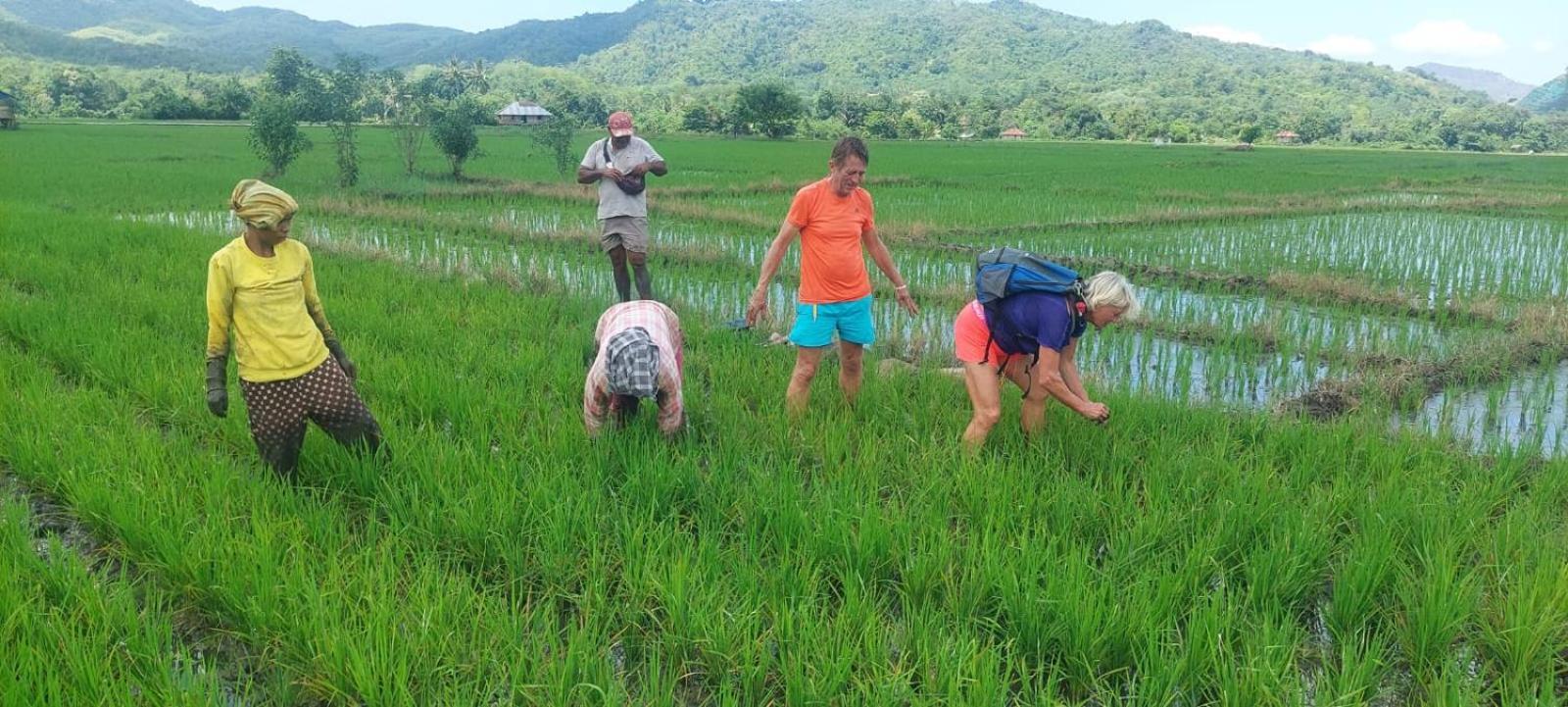 Inang Amang Homestay ลาบวนบาโจ ภายนอก รูปภาพ
